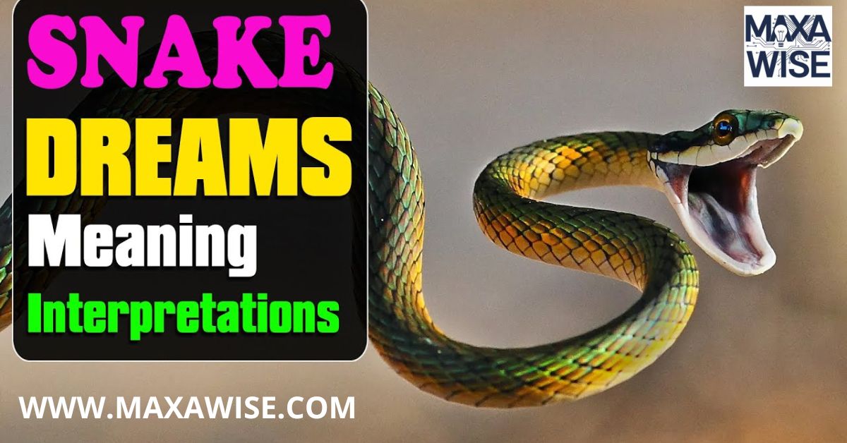 Blue Snake in Dream: Meaning and Interpretation