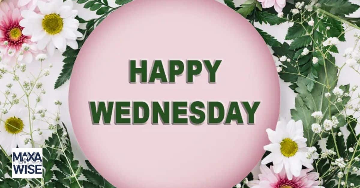 Happy Blessed Wednesday