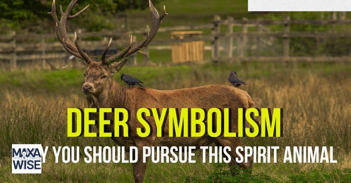 Deer Symbolism