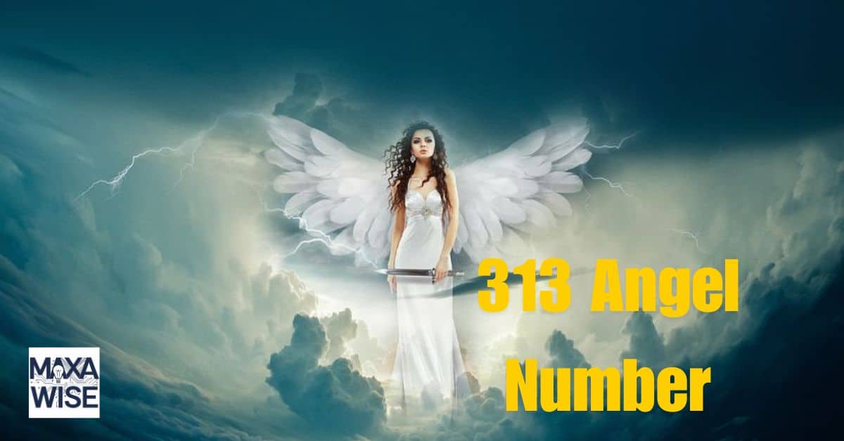 313 Angel Number